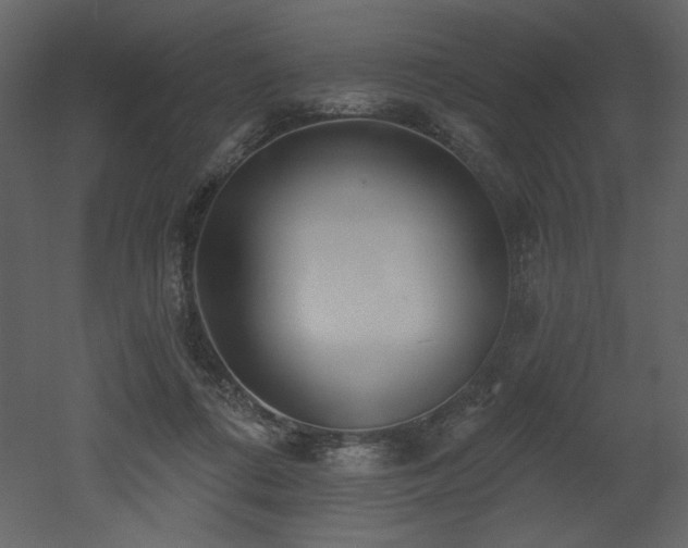 X0000052980312200507081130
