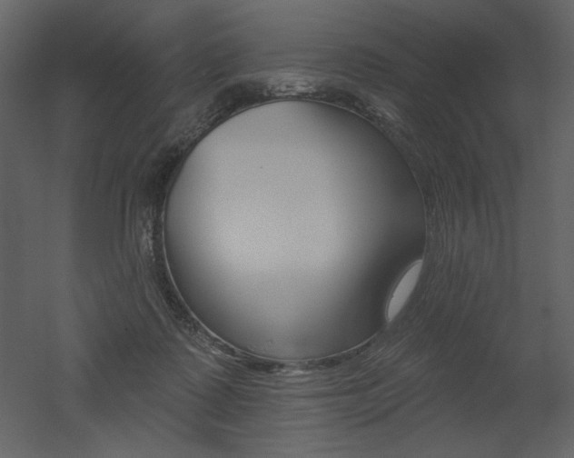 X0000052980315200507081130