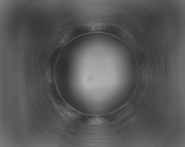 X0000052980316200507081130