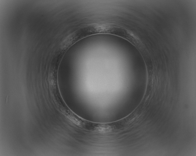 X0000052980317200507081129