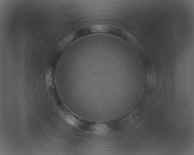 X0000052980322200507081129