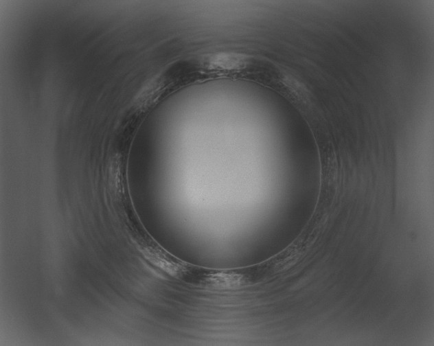 X0000052980328200507081129