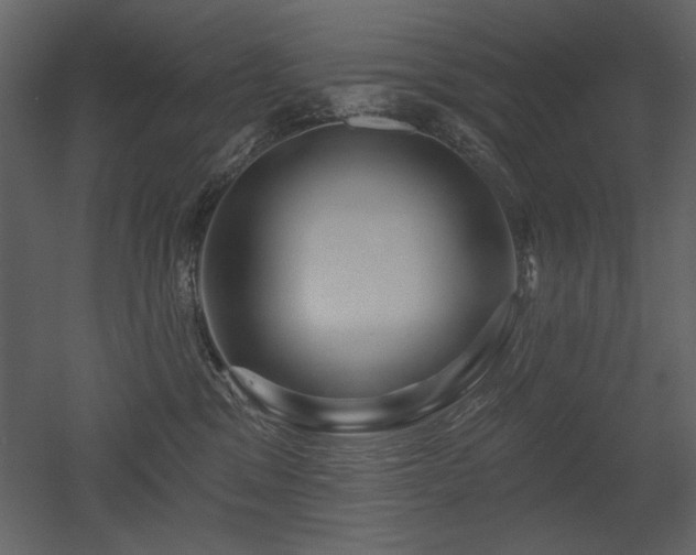 X0000052980329200507081129