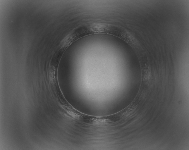 X0000052980332200507081129
