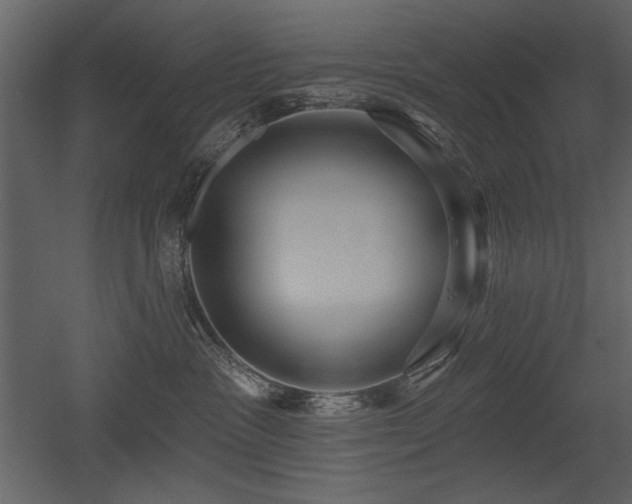 X0000052980333200507081129