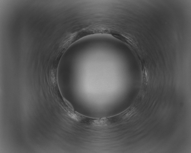 X0000052980335200507081129