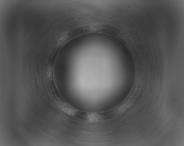 X0000052980336200507081129
