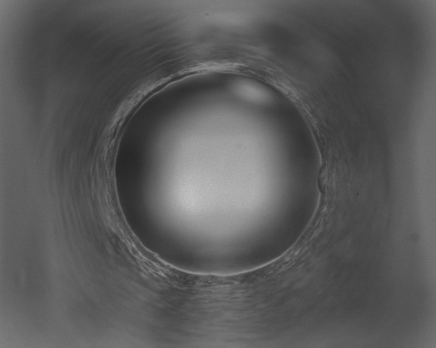 X0000052980337200507081128