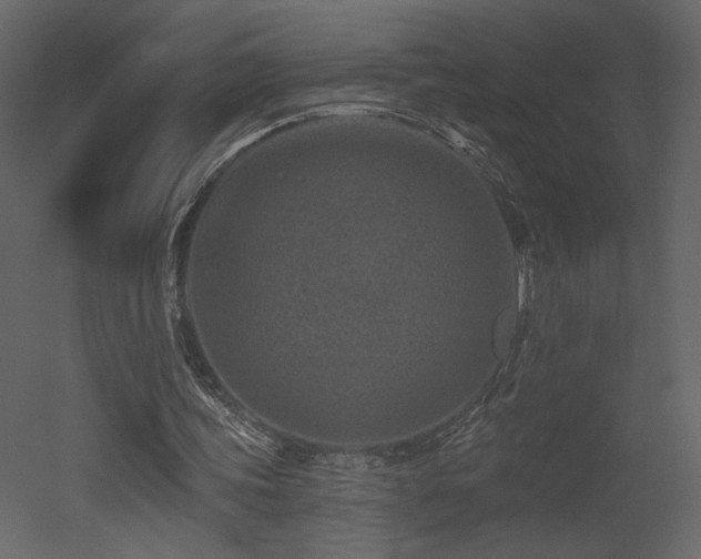 X0000052980339200507081128