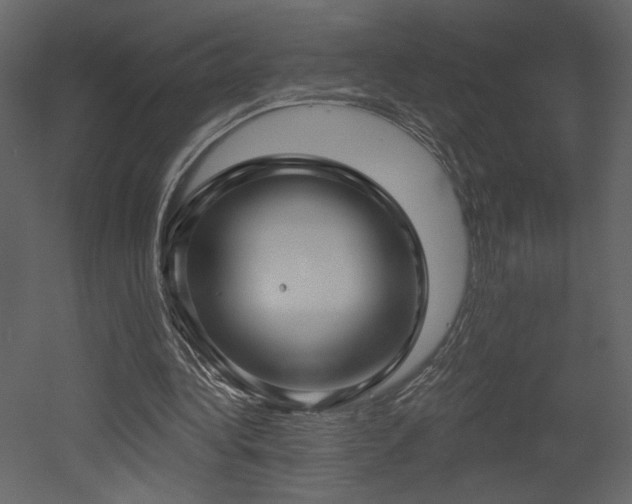 X0000052980340200507081128