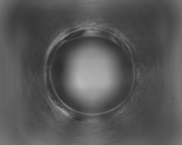 X0000052980344200507081128