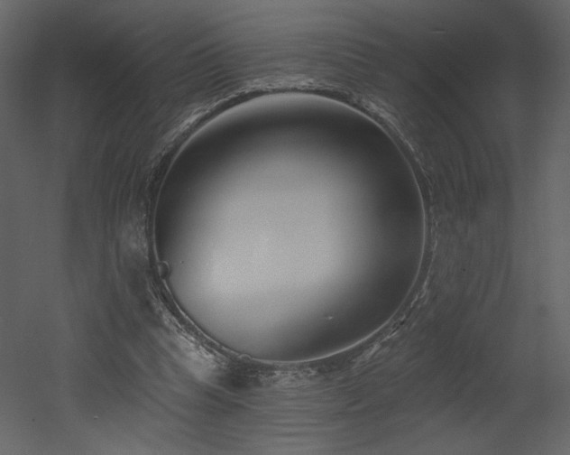 X0000052980345200507081128