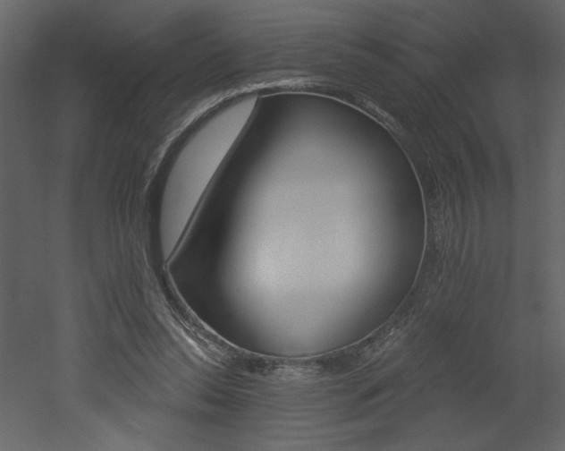 X0000052980350200507081129
