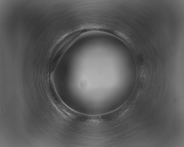 X0000052980352200507081129