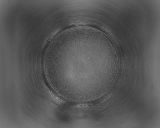 X0000052980353200507081129