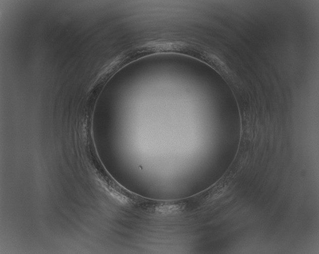 X0000052980357200507081129
