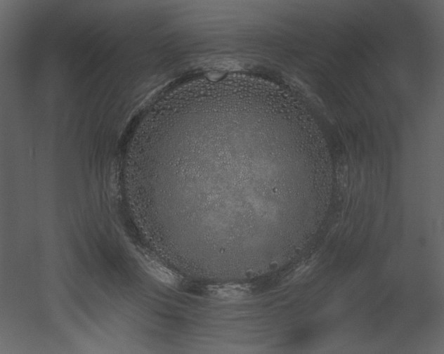 X0000052980359200507081129