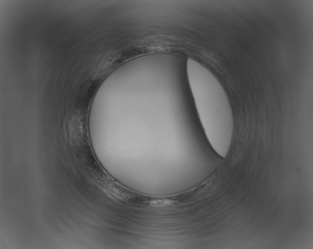 X0000052980363200507081129