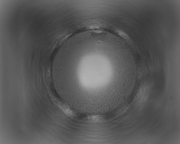 X0000052980365200507081129