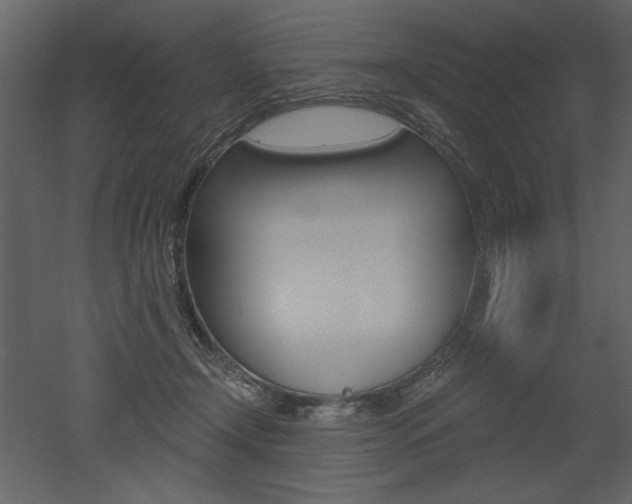X0000052980366200507081129