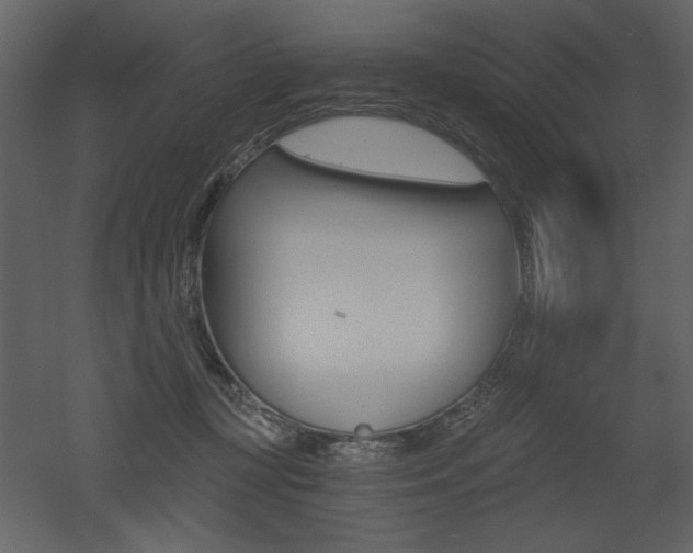 X0000052980367200507081129