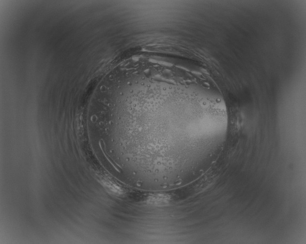 X0000052980369200507081129