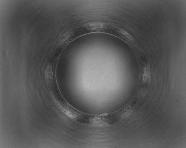 X0000052980372200507081129