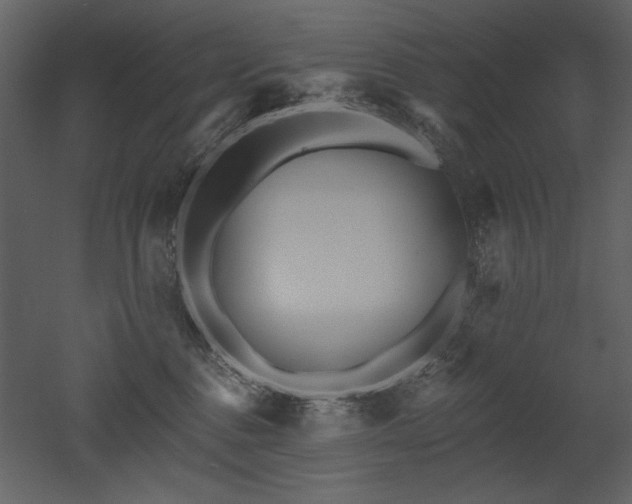 X0000052980376200507081129