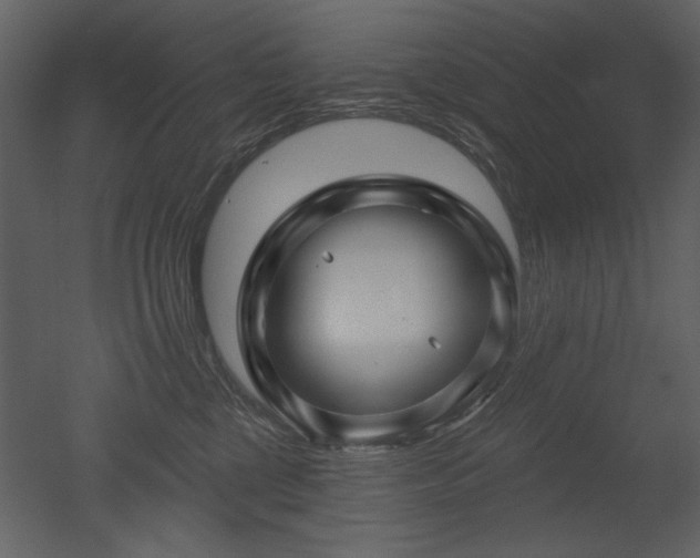 X0000052980377200507081129