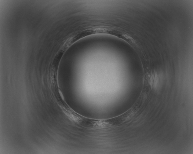 X0000052980379200507081129