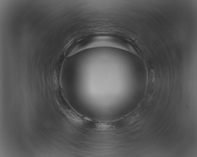 X0000052980380200507081129