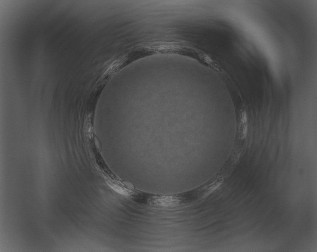 X0000052980383200507081129