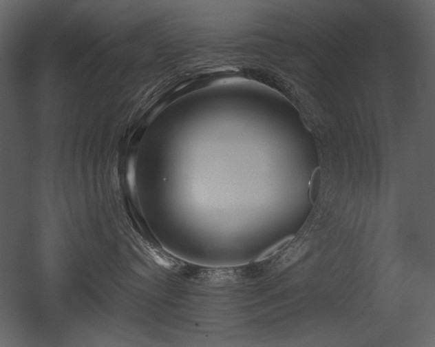 X0000052980384200507081129