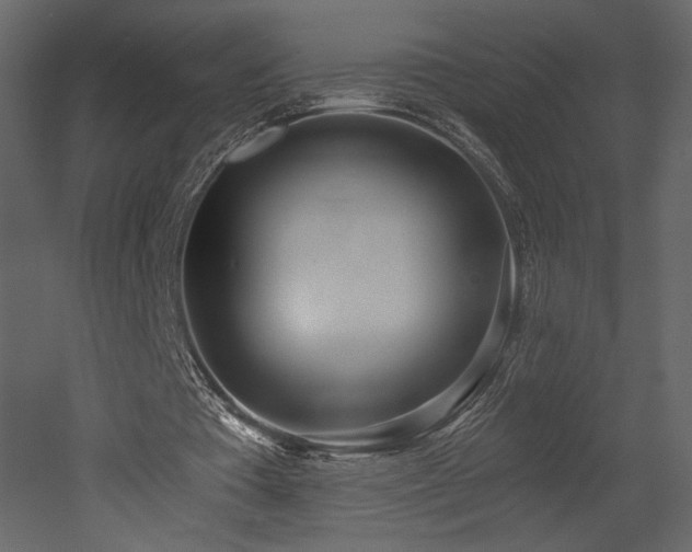 X0000052980385200507081128