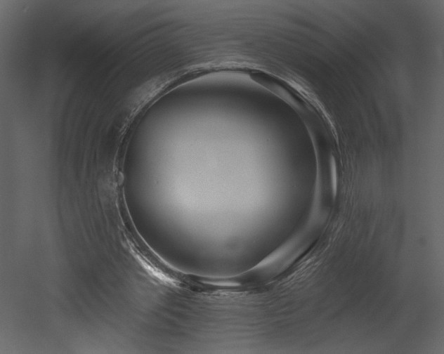 X0000052980389200507081128