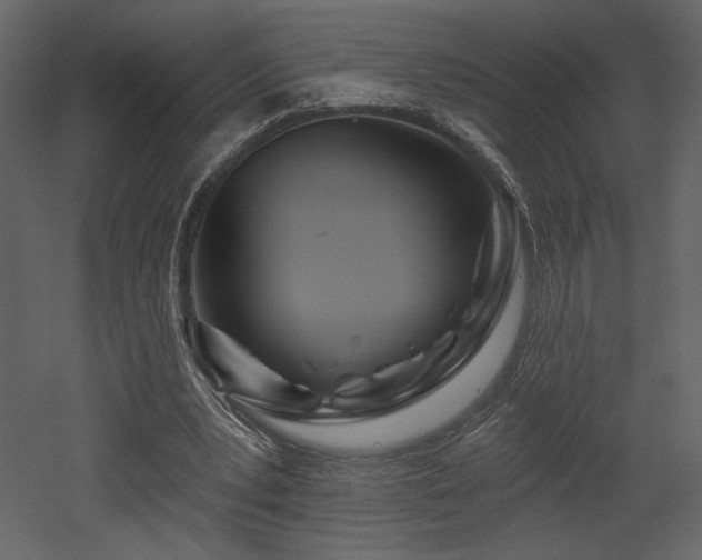 X0000052980391200507081128