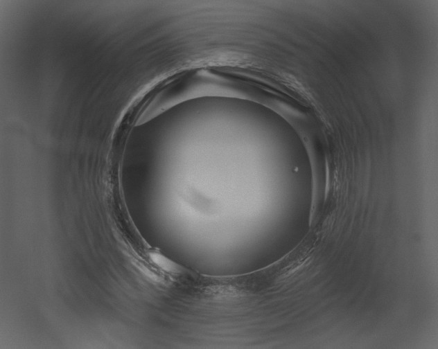 X0000052980392200507081128