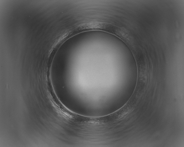 X0000052980394200507081128