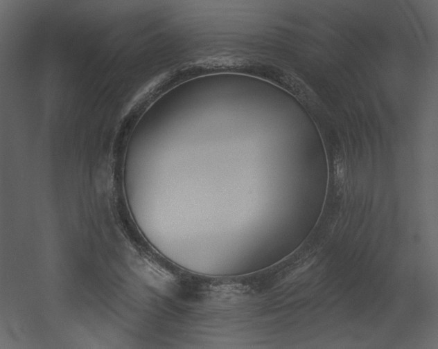 X0000052980396200507081128