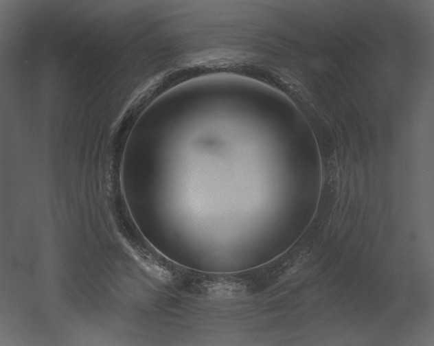 X0000052980400200507081128
