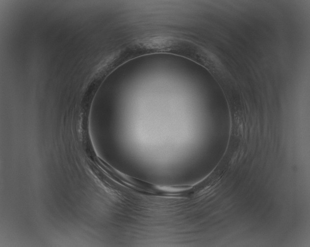 X0000052980404200507081128