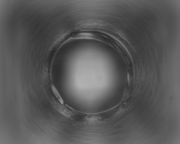 X0000052980407200507081128