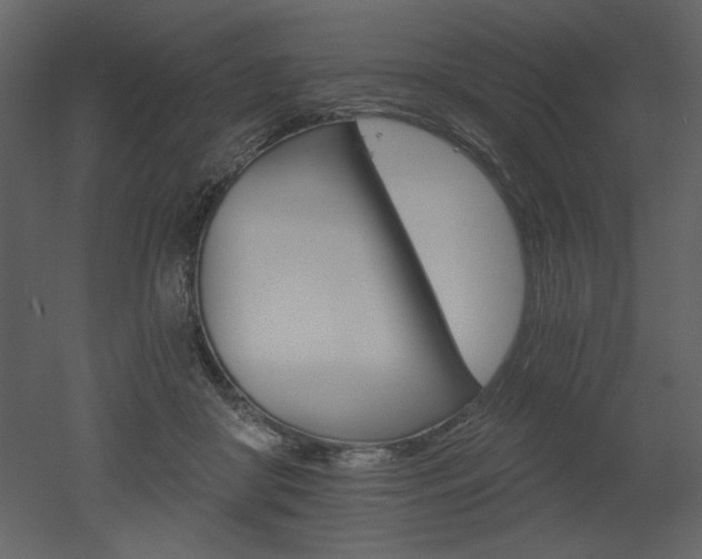 X0000052980410200507081128