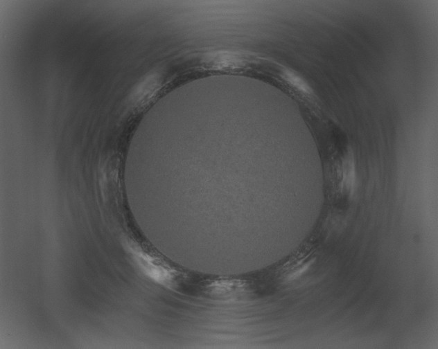 X0000052980415200507081128