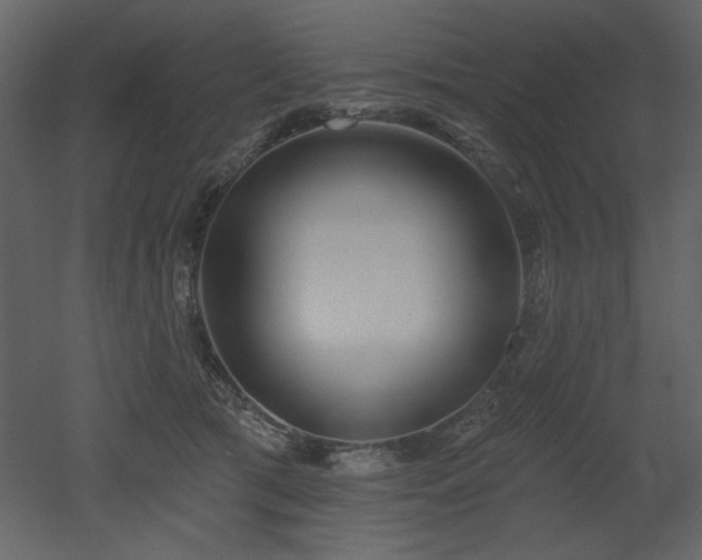 X0000052980417200507081128