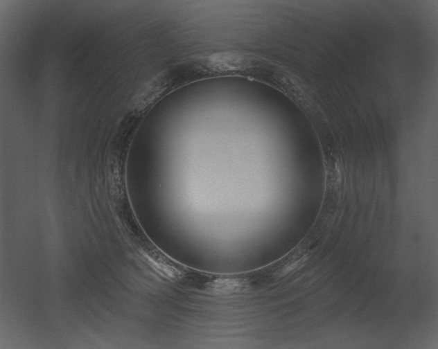X0000052980418200507081128