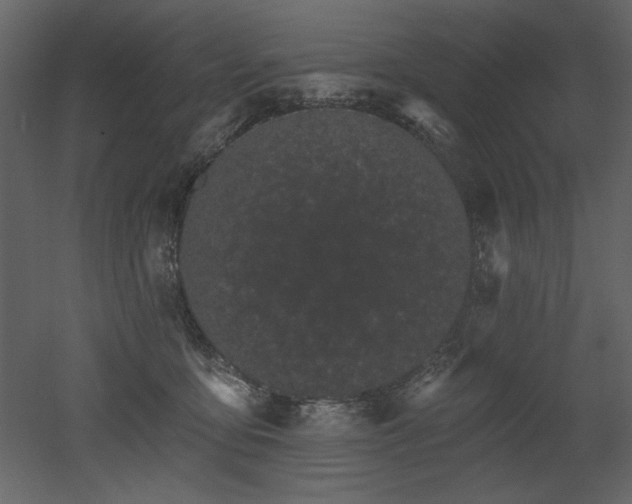 X0000052980419200507081128