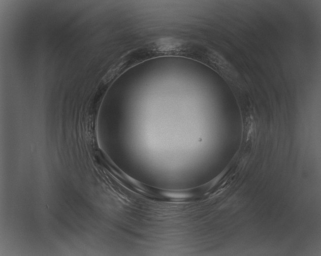 X0000052980421200507081128
