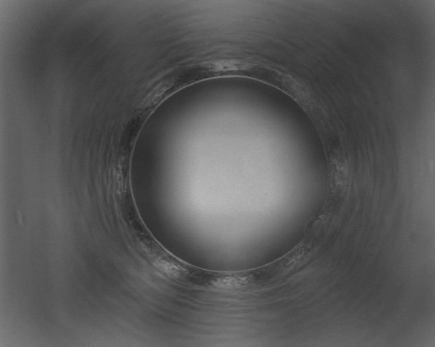 X0000052980422200507081128