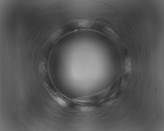 X0000052980424200507081128